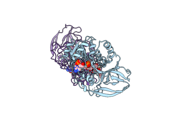 2J3K image