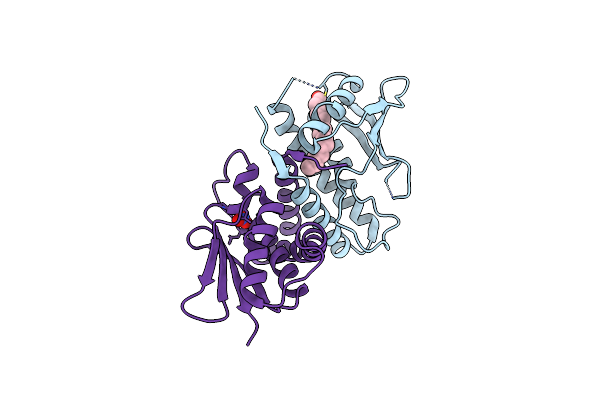 2J3R image