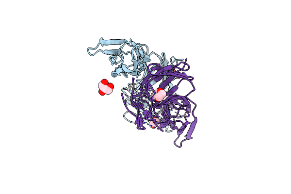 2J3S image