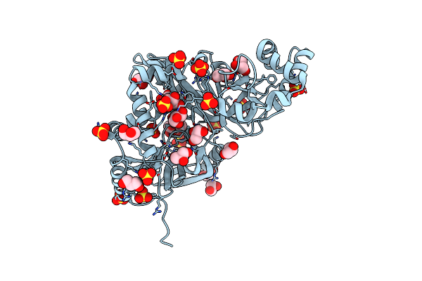 2J3V image