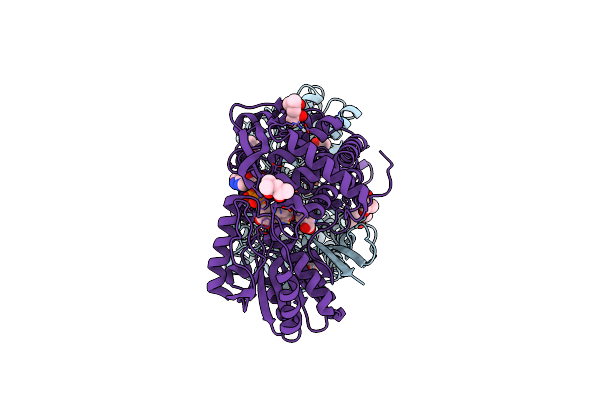 2J40 image