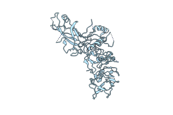 2J42 image