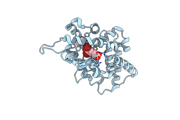 2J4A image