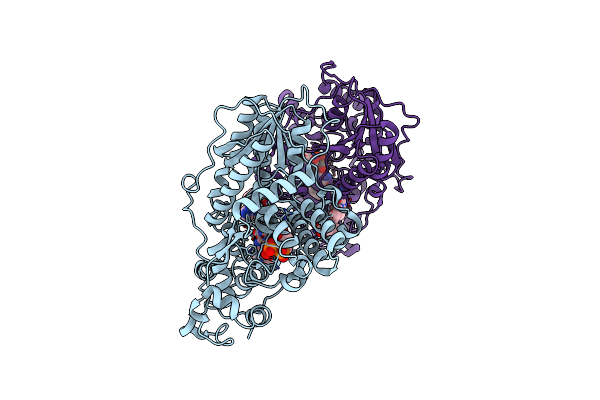2J4D image