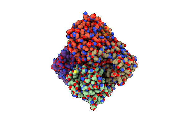 2J4J image