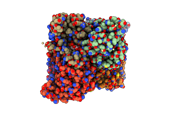 2J4K image