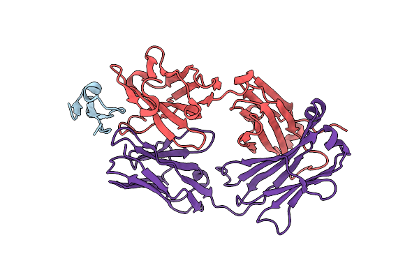 2J4W image