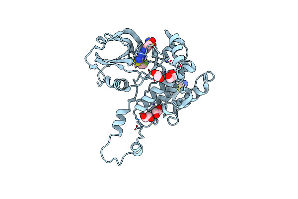 2J51 image