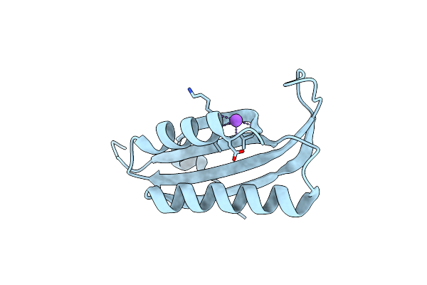 2J5A image