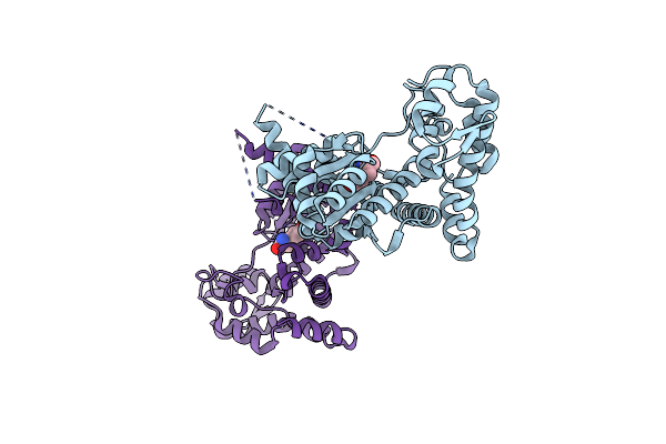 2J5B image
