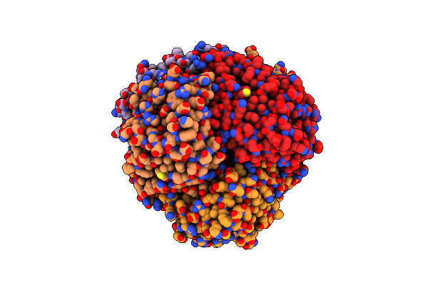2J5G image