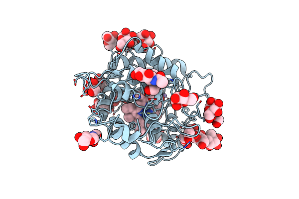 2J5M image