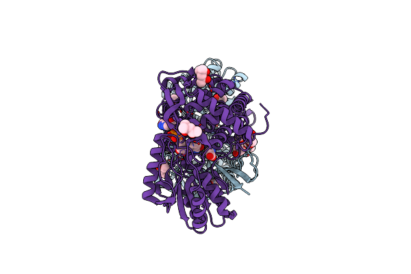 2J5N image