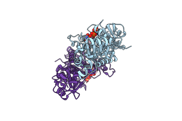 2J5V image