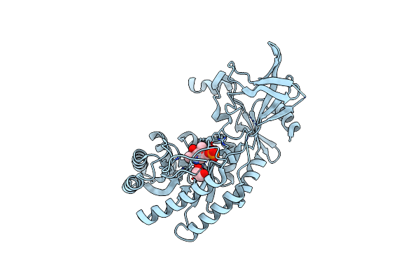 2J66 image