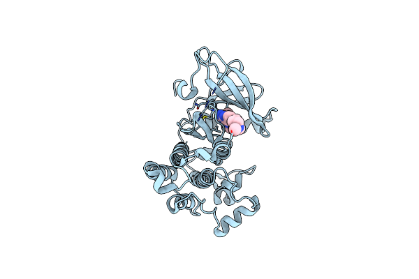 2J6M image
