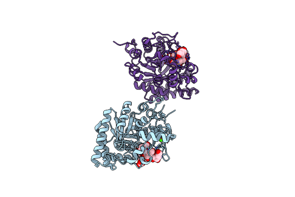 2J74 image