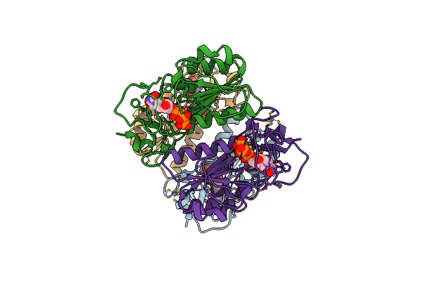 2J87 image