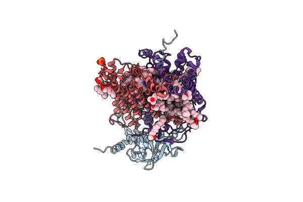 2J8D image