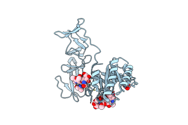 2J8F image