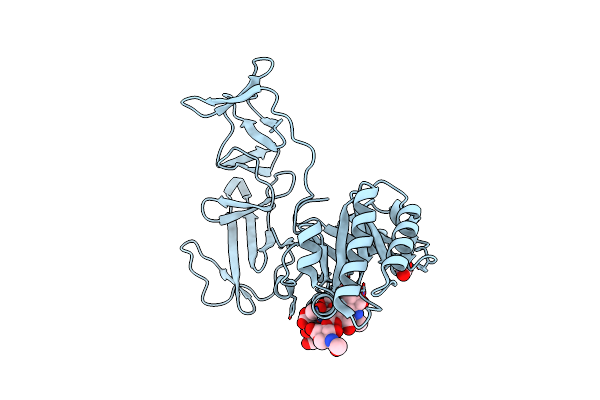 2J8G image