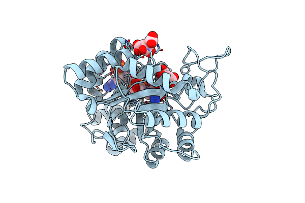 2J8T image