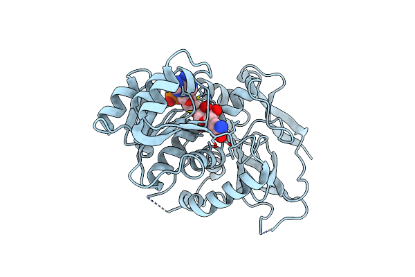 2J8Z image