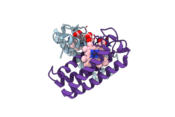 2J9B image