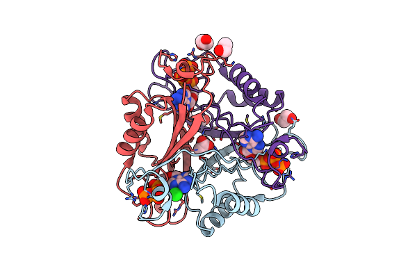 2J9C image