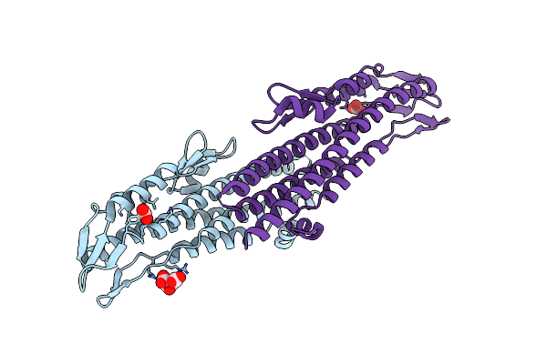 2J9T image