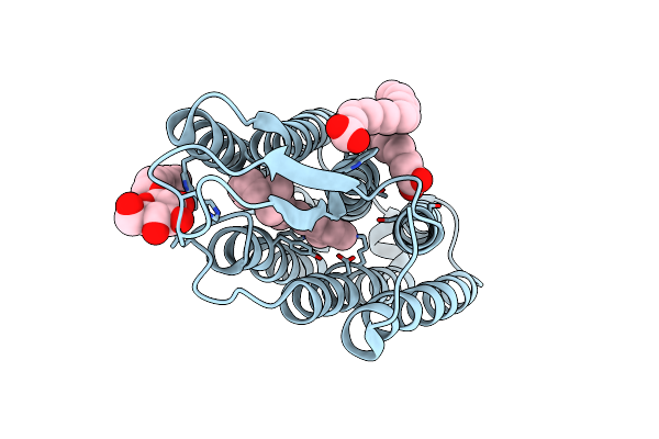 2JAF image