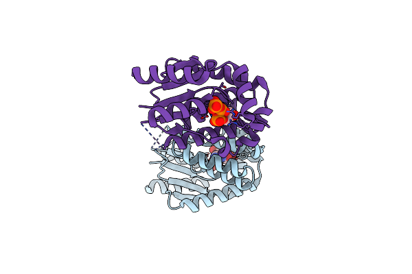 2JAQ image