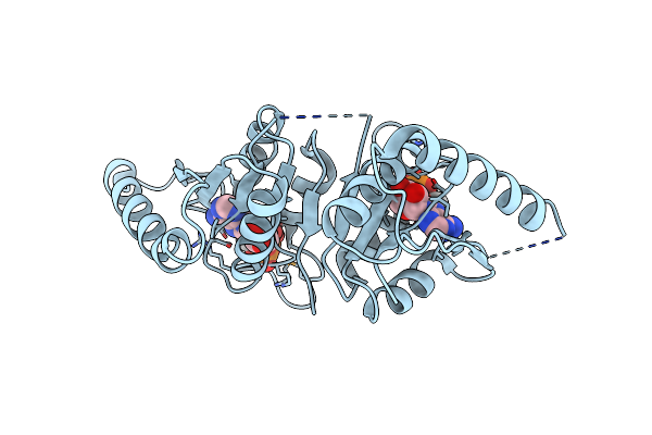 2JAX image