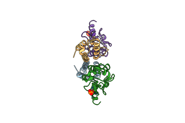 2JAZ image