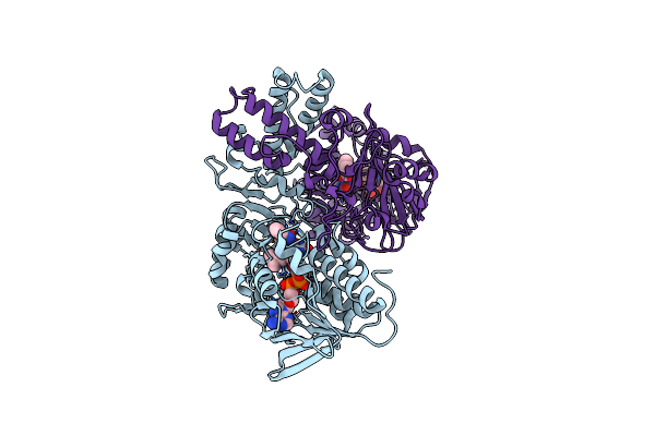 2JB3 image