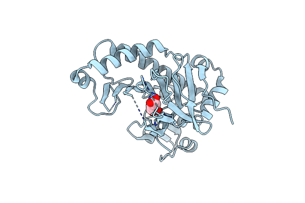 2JB8 image