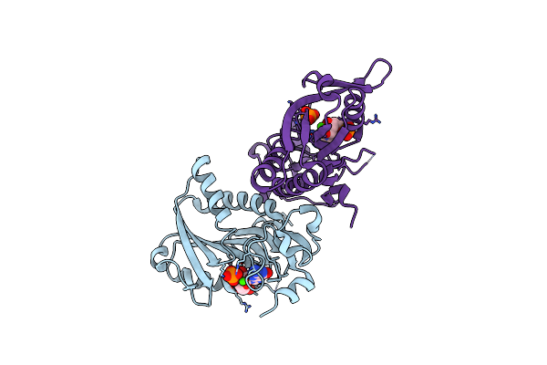 2JBH image
