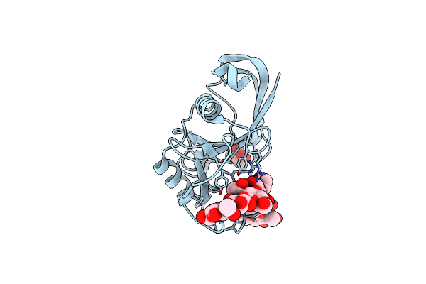 2JCR image