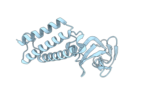 2JEX image