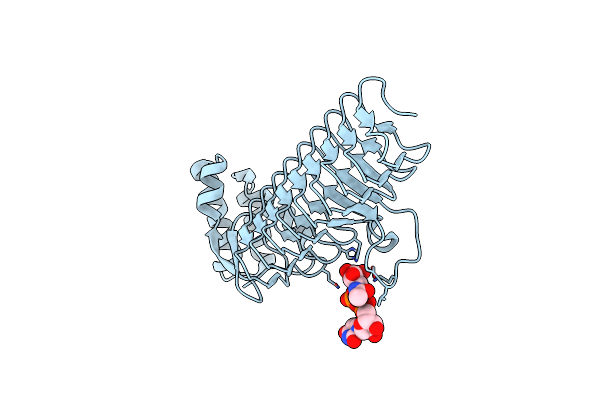 2JF3 image