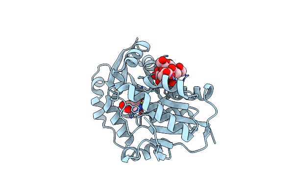 2JFN image