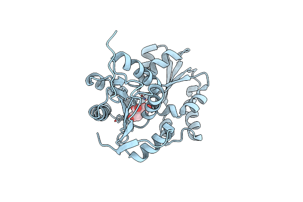 2JFV image