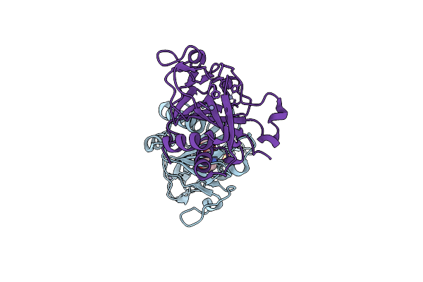 2JIG image