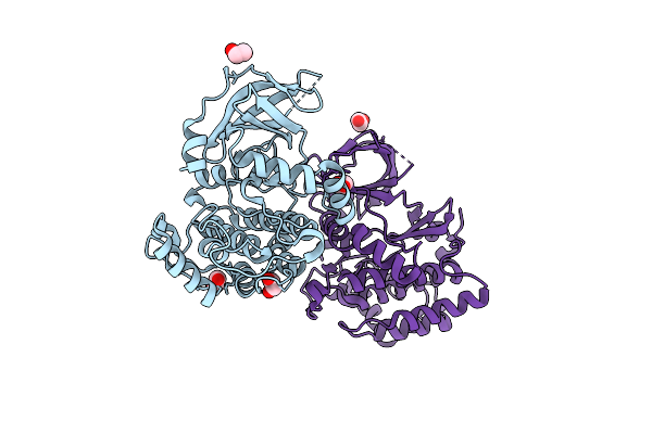 2JII image