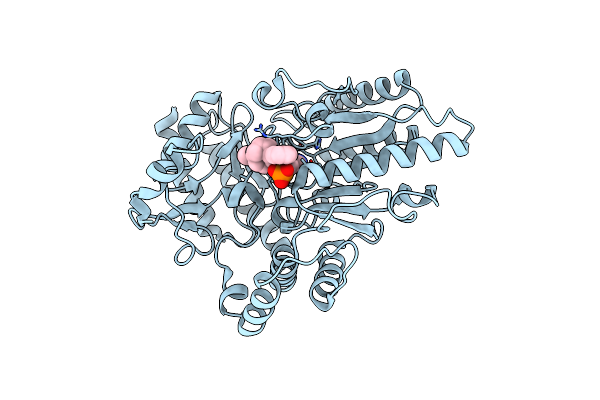 2JJG image