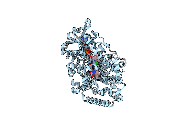 2JKC image