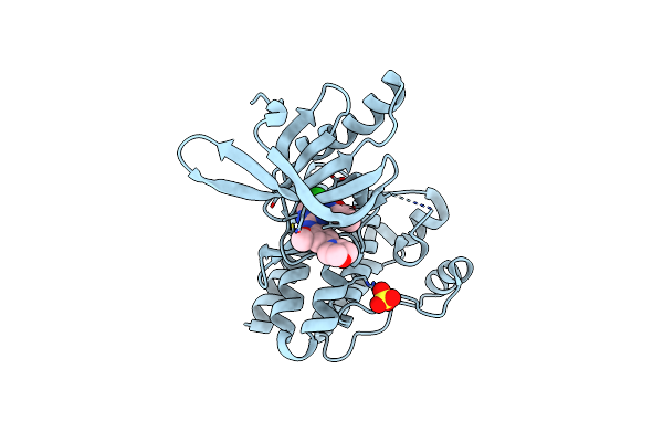 2JKK image