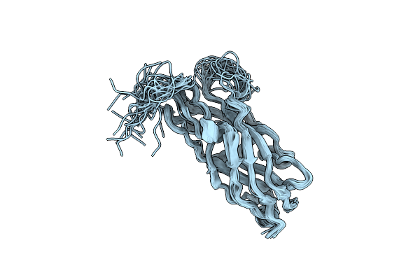 2JMR image