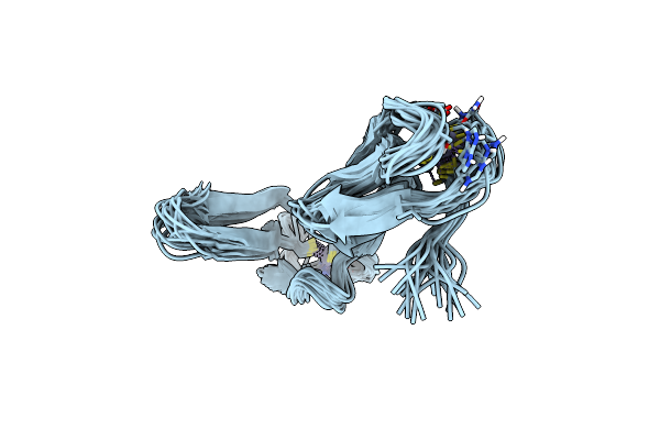 2JNE image