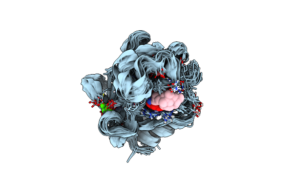 2JNP image